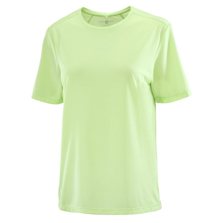 Salomon Shakeout Core Tee Dam