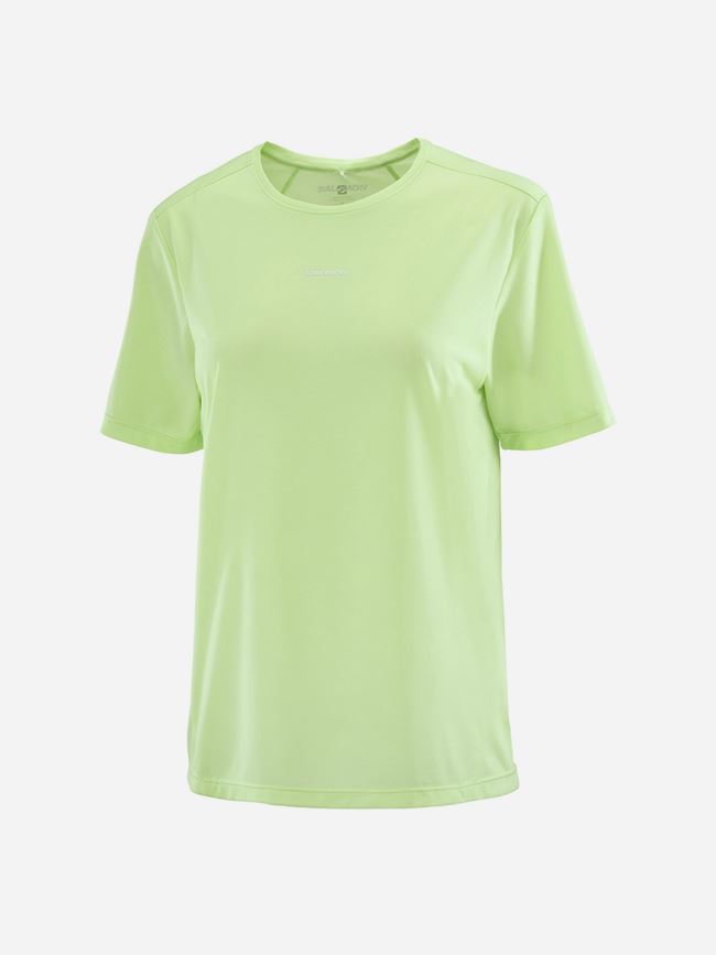 Salomon Shakeout Core Tee Dam