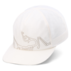 Arc'teryx Silex Cap