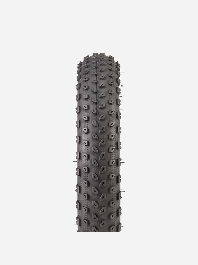 Bontrager XR1 Kids 2.25"