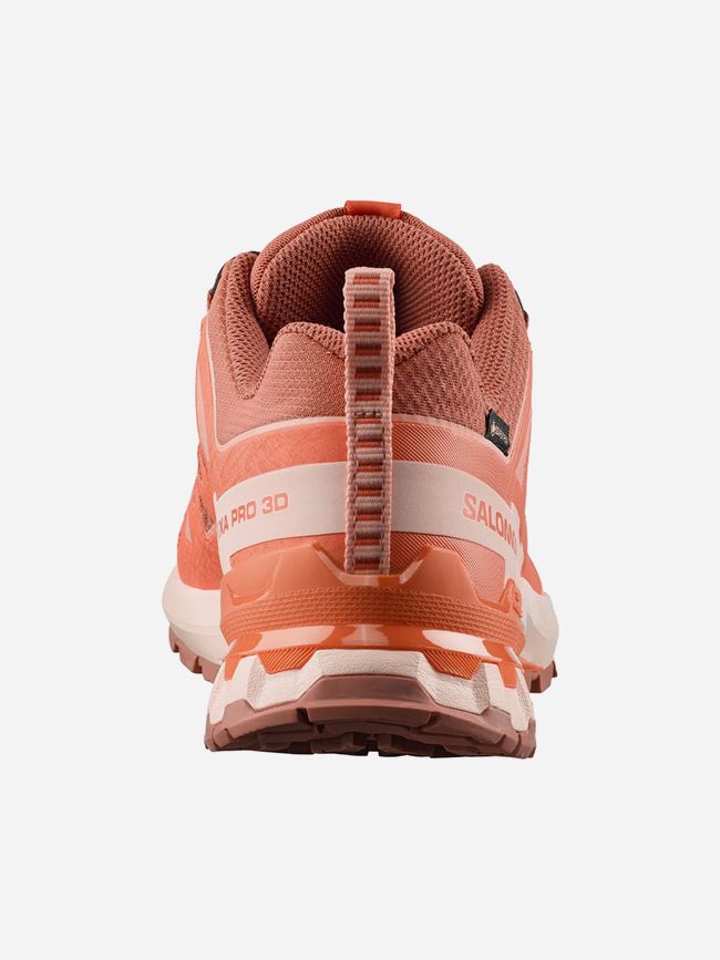 Salomon XA PRO 3D V9 GORE-TEX DAM