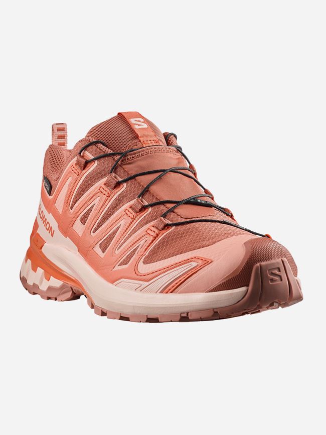 Salomon XA PRO 3D V9 GORE-TEX DAM