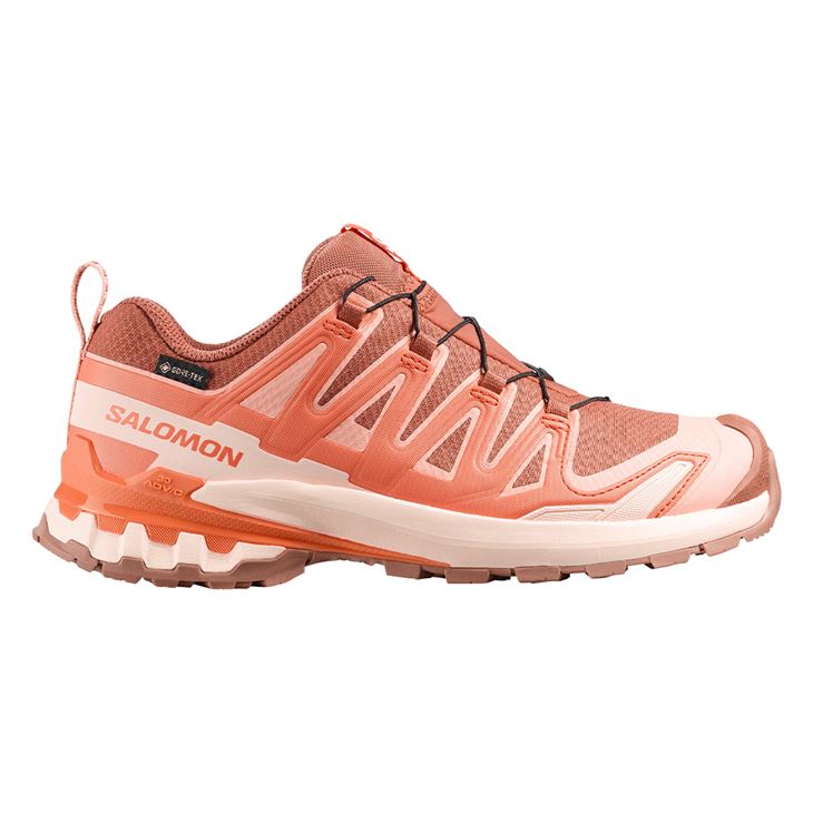 Salomon XA PRO 3D V9 GORE-TEX DAM