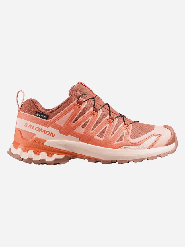 Salomon XA PRO 3D V9 GORE-TEX DAM