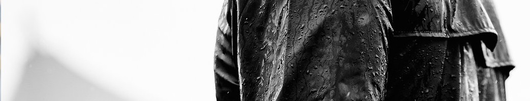 Rains