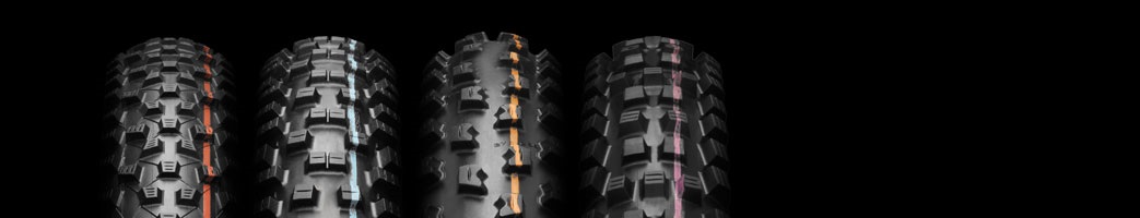 Schwalbe