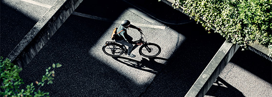 Specialized