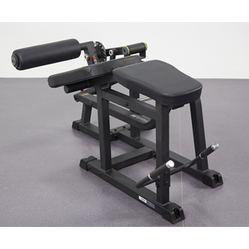 IFP1604 - PRONE LEG CURL