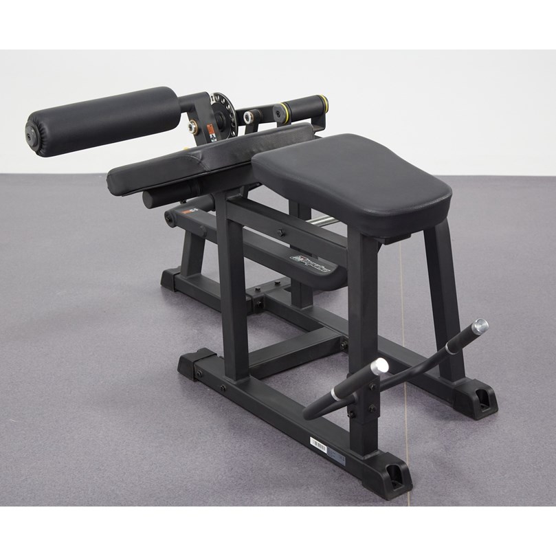 IFP1604 - PRONE LEG CURL