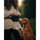 Non-stop dogwear Trail Quest Fanny Pack