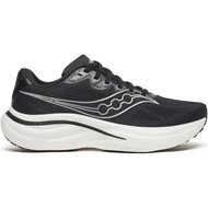 Black/Silver