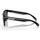 Oakley Frogskins Polished Black/Prizm Black