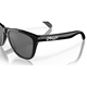 Oakley Frogskins Polished Black/Prizm Black