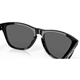 Oakley Frogskins Polished Black/Prizm Black