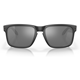 Oakley Holbrook Matte Black/Prizm Black Polarized