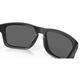 Oakley Holbrook Matte Black/Prizm Black Polarized