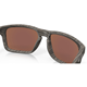 Oakley Holbrook Woodgrain/Prizm Deep Water Polar