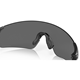 Oakley Evzero Blades Matte Black/Prizm Black