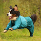 Non-stop dogwear Fjord Overall Raincoat Teal