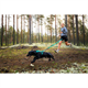 Non-stop dogwear Bungee Leash Aqua