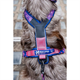 Non-stop dogwear Line Harness 5.0 Rp Edition Purple/Pink