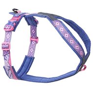 Purple/Pink