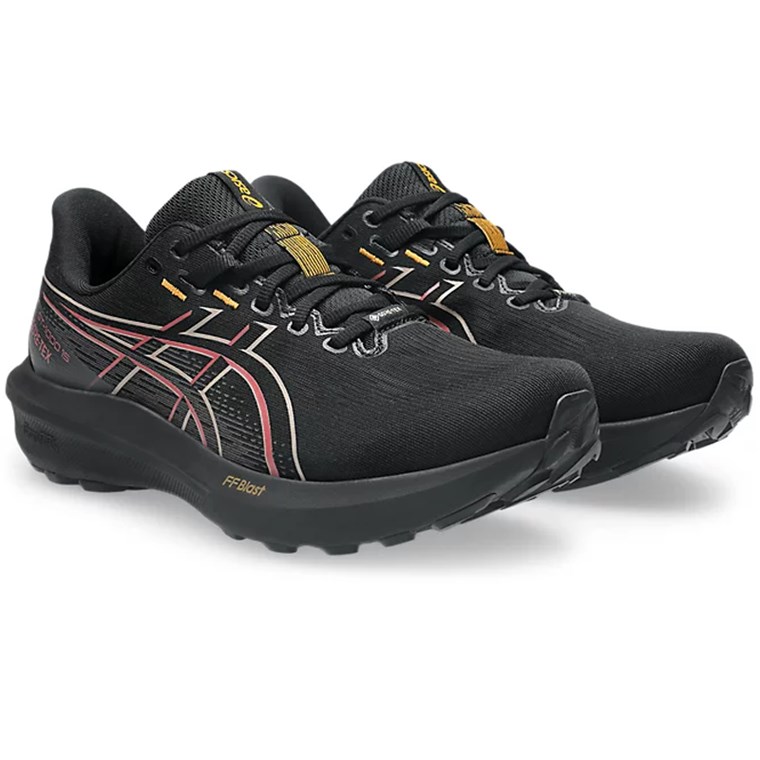 Asics GT-1000 15 GTX M Black/Graphite Grey