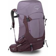 Purple Dusk