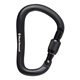 Black Diamond Rocklock Screwgate Carabiner Black
