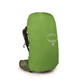 Osprey Atmos Ag 50 Mythical Green