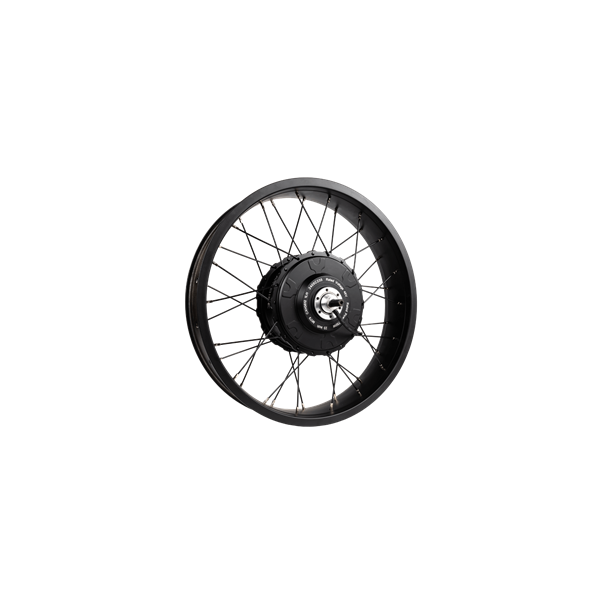 RAWBIKE Motor 48V/750W