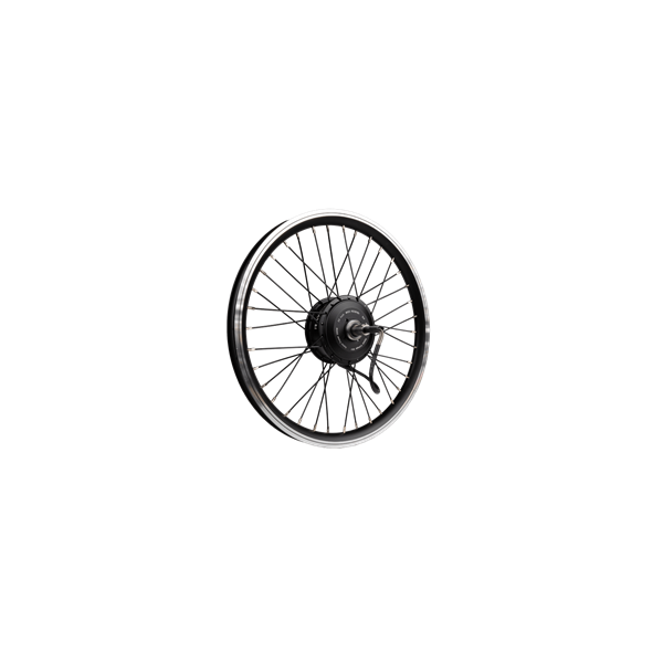 RAWBIKE Motor 36V/250W