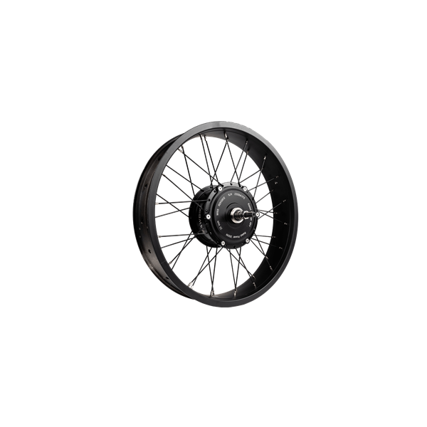RAWBIKE Motor 48V/250W