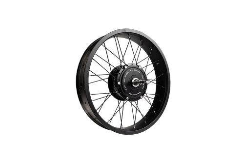 RAWBIKE Motor 48V/250W