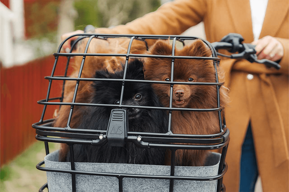 Popular Atran velo Duo cover – Commute Smarter with an Electric