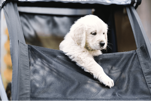Thule Courier dog trailer kit