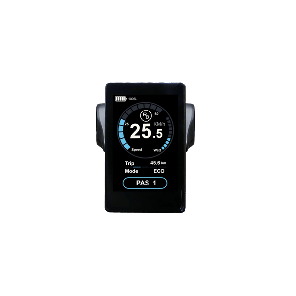 RAWBIKE Original color display