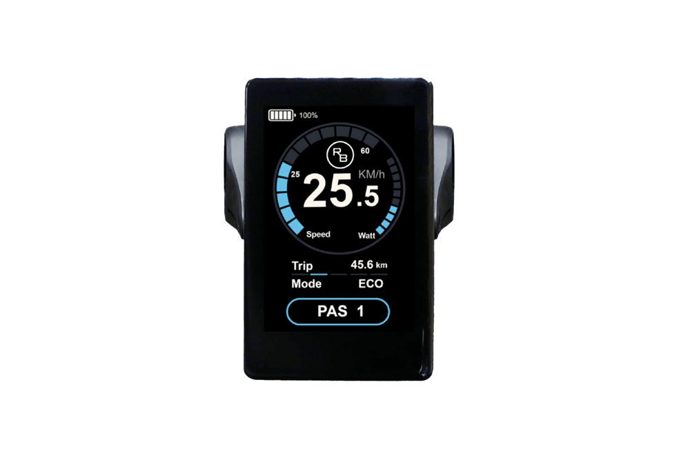 RAWBIKE Original color display