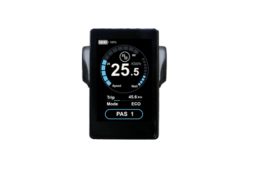 RAWBIKE Original color display