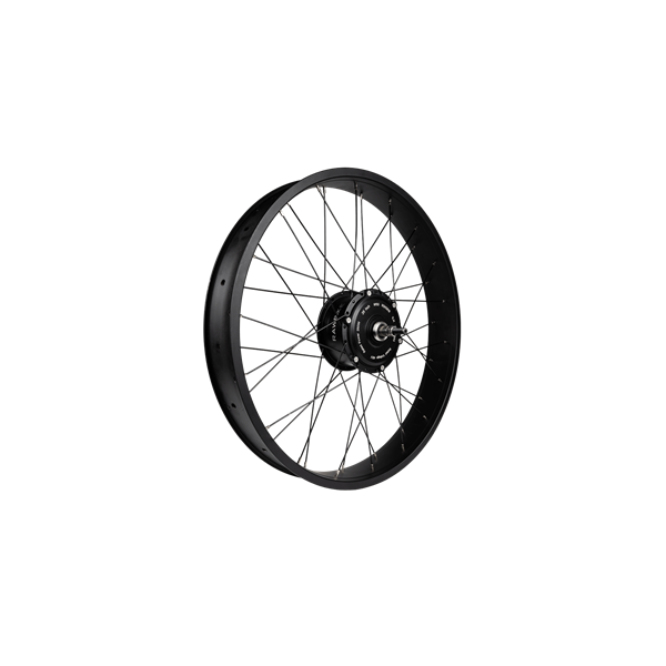 RAWBIKE Motor URBAN 48V/250W