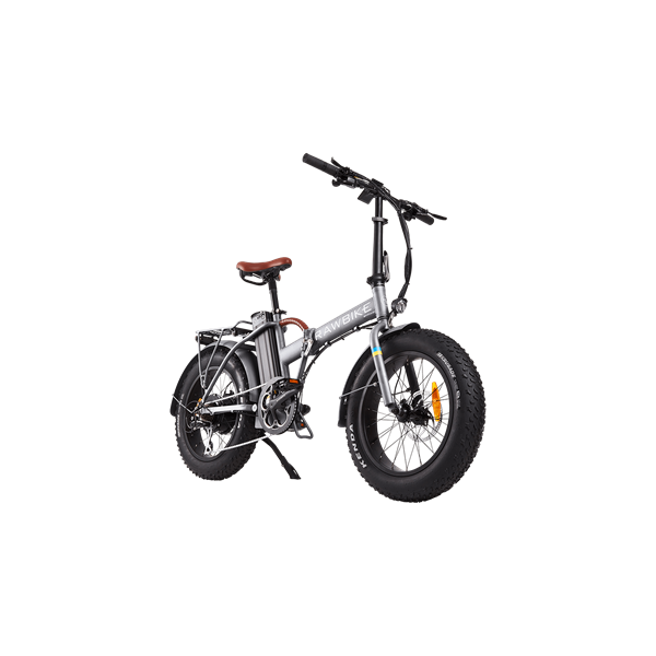 RAWBIKE 4X Titanium
