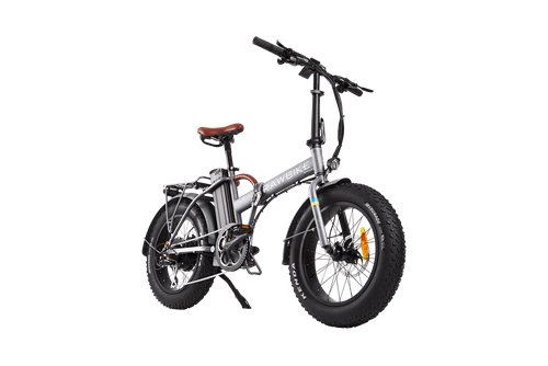 RAWBIKE 4X Titanium