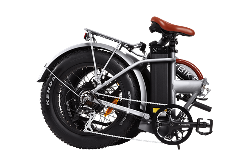 RAWBIKE 4X Titanium