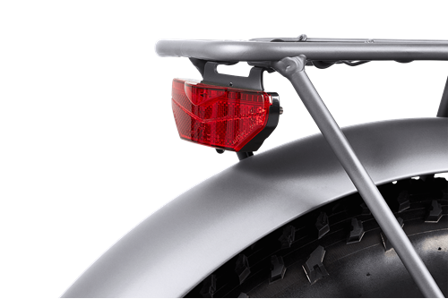 RAWBIKE 4X Titanium