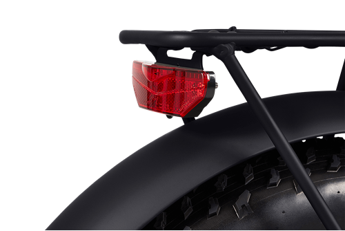 RAWBIKE 250E Elcykel