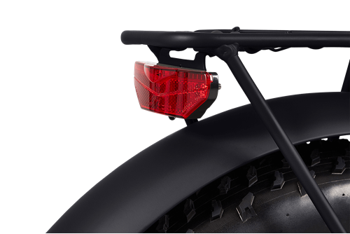 RAWBIKE 250E Matte black elcykel