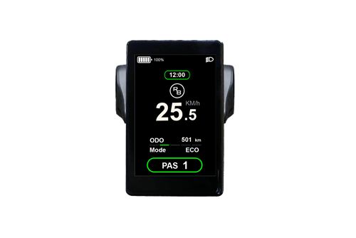 RAWBIKE Color Display with Clock