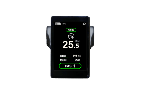 RAWBIKE Färgdisplay med klocka