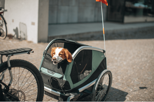 Thule Bexey M Dog Bike Trailer