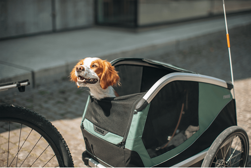 Thule Bexey L Dog Bike Trailer